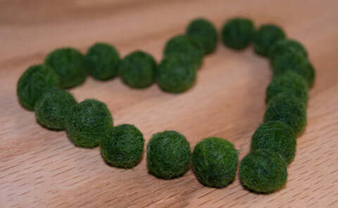 Are Moss Ball Pets™ the Best Marimo?