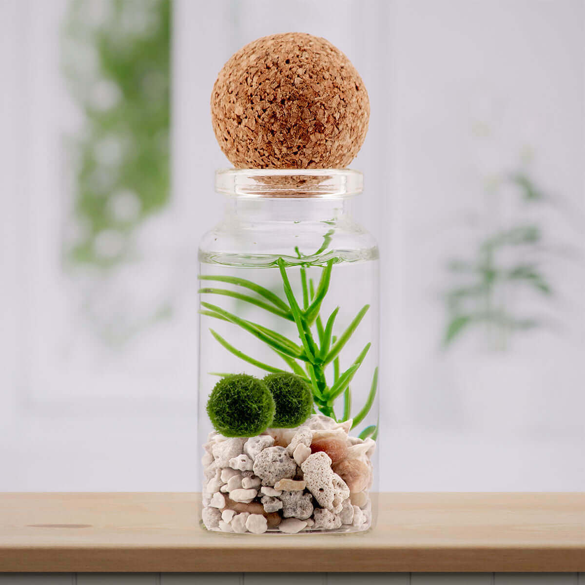 Cork sphere crowning a moss ball terrarium, evoking a natural and sustainable vibe.