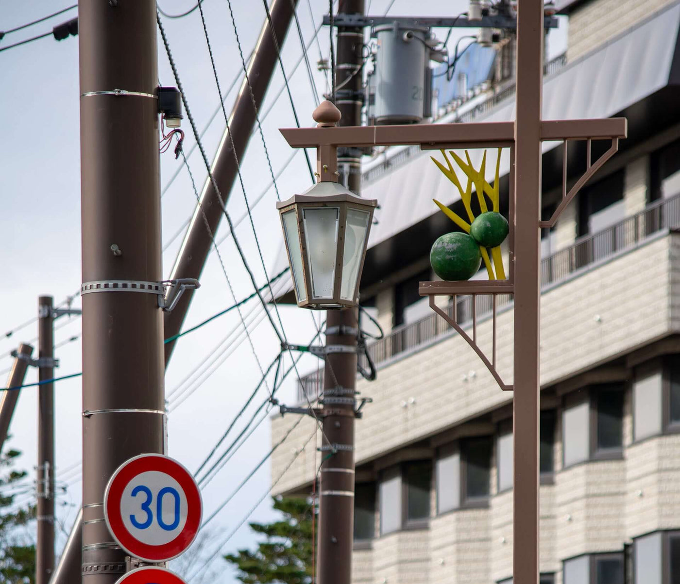 Metal sculpture of two marimo moss balls and yellow aquatic plants mounted on a streetlight in Akanko Onsen, a lakeside town on Lake Akan in Hokkaido, Japan.