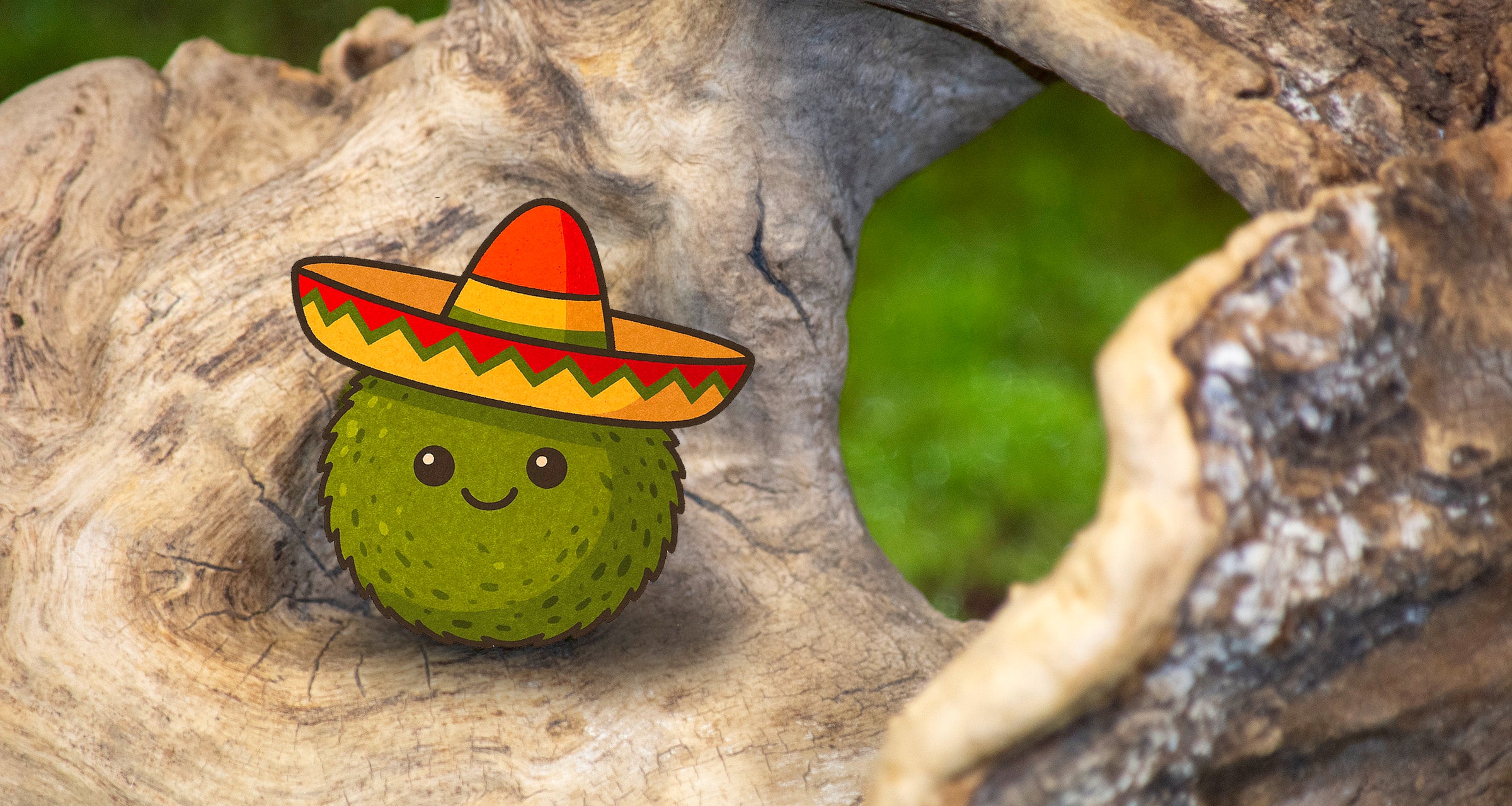 Cartoon-style marimo moss ball with a sombrero, playfully representing a 'moss amigo'—a friendly nickname for these aquatic companions.