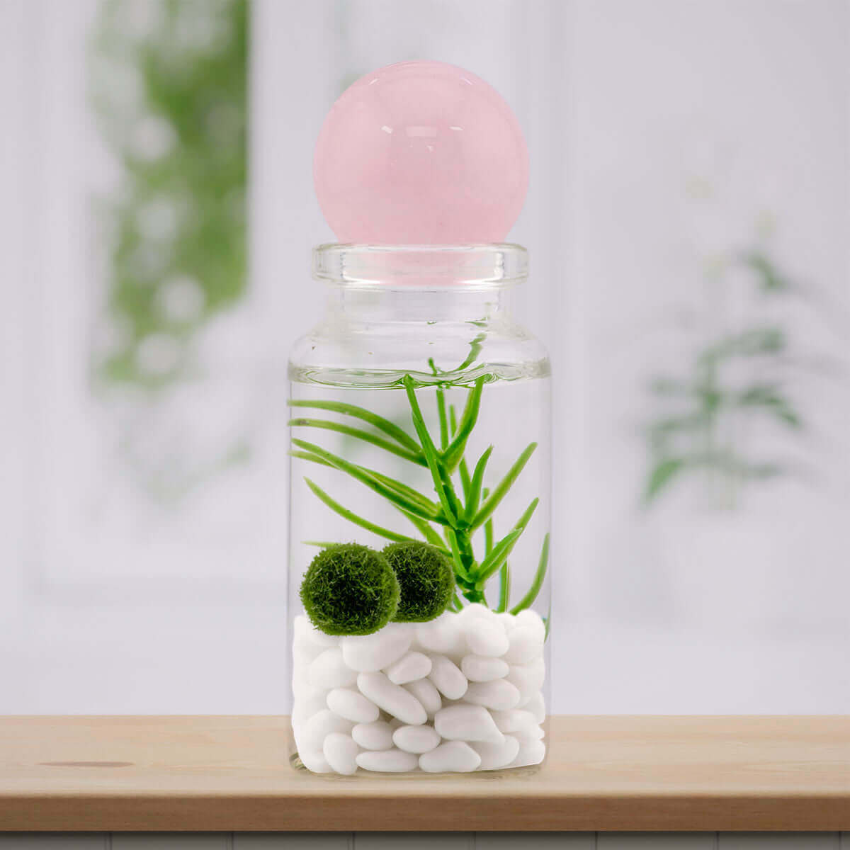 Rose Quartz sphere adding a soft pink warmth to a moss ball pet terrarium.
