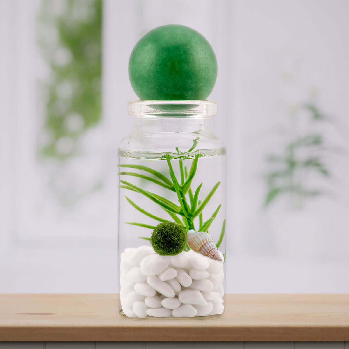 Green Aventurine sphere lending a touch of verdant luck to a moss ball terrarium.