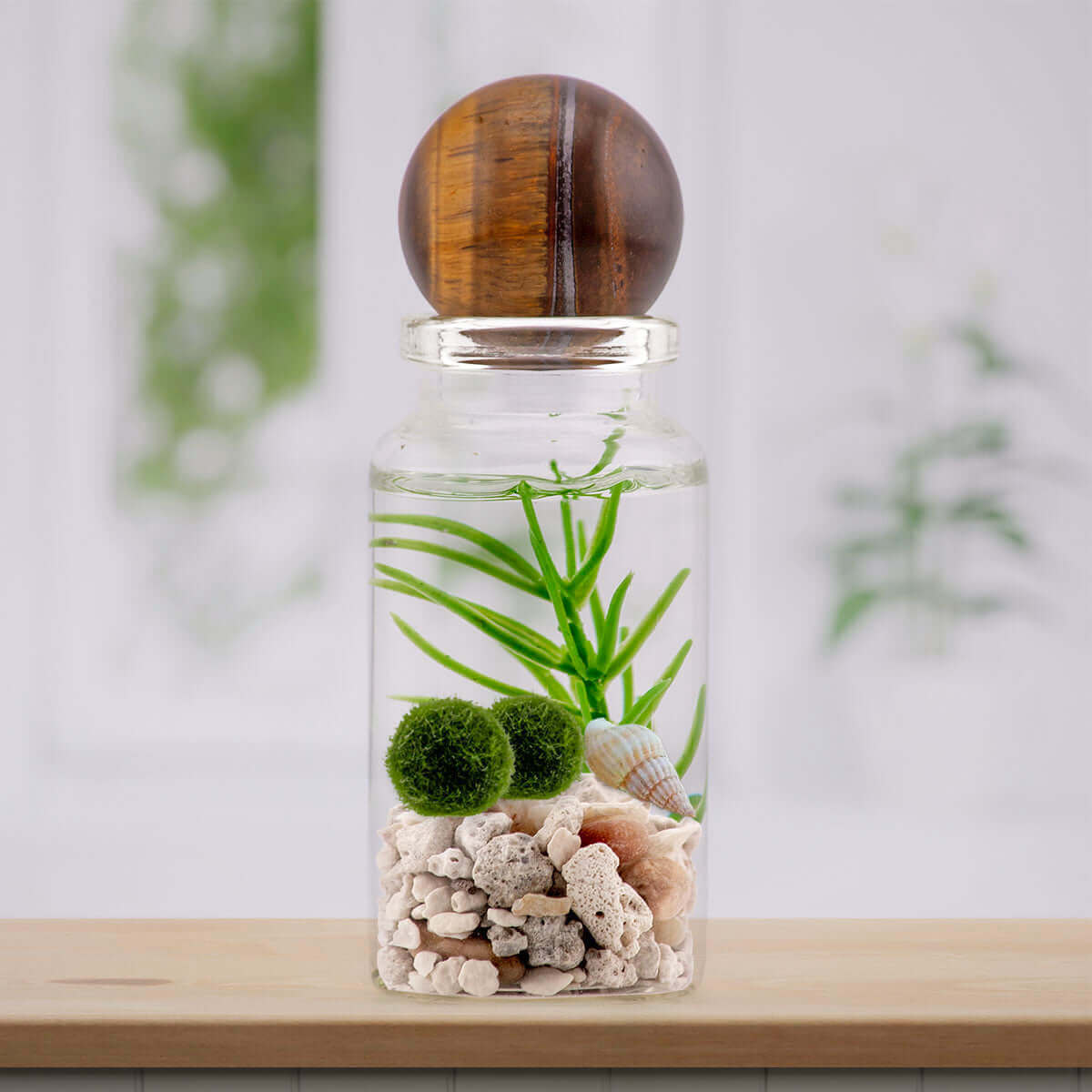 Tiger Eye sphere on moss ball terrarium, its bands gleaming with earthy tones.