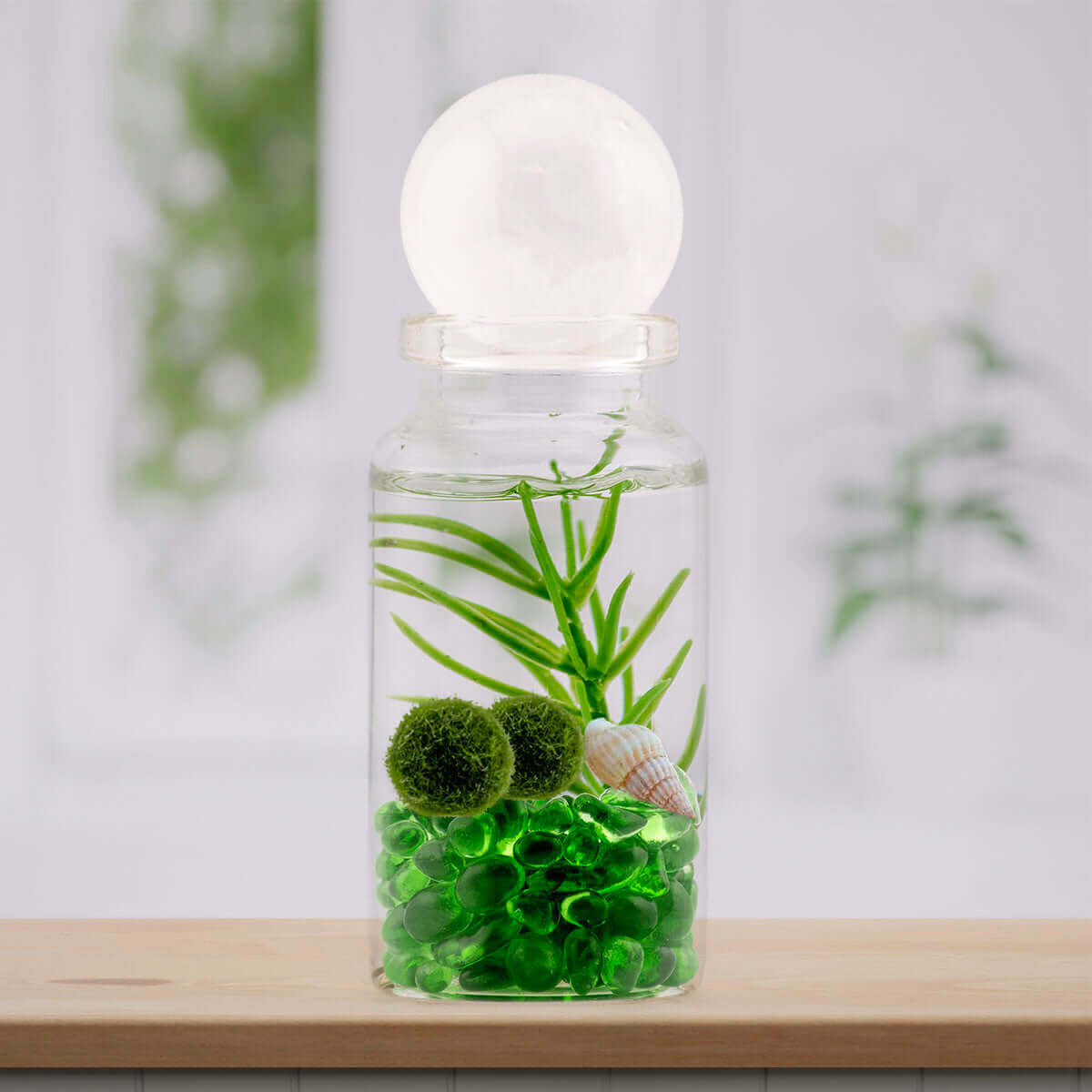 Clear Quartz Crystal sphere atop a moss ball pet terrarium, radiating natural elegance.