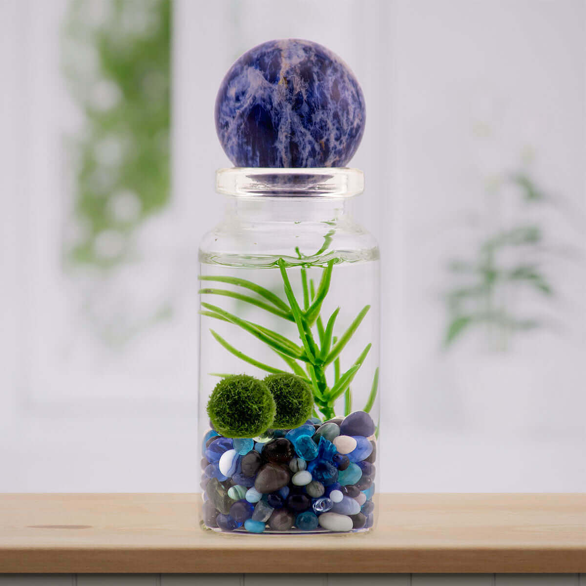 Blue Sodalite sphere enhancing a moss ball terrarium with its deep blue hues.