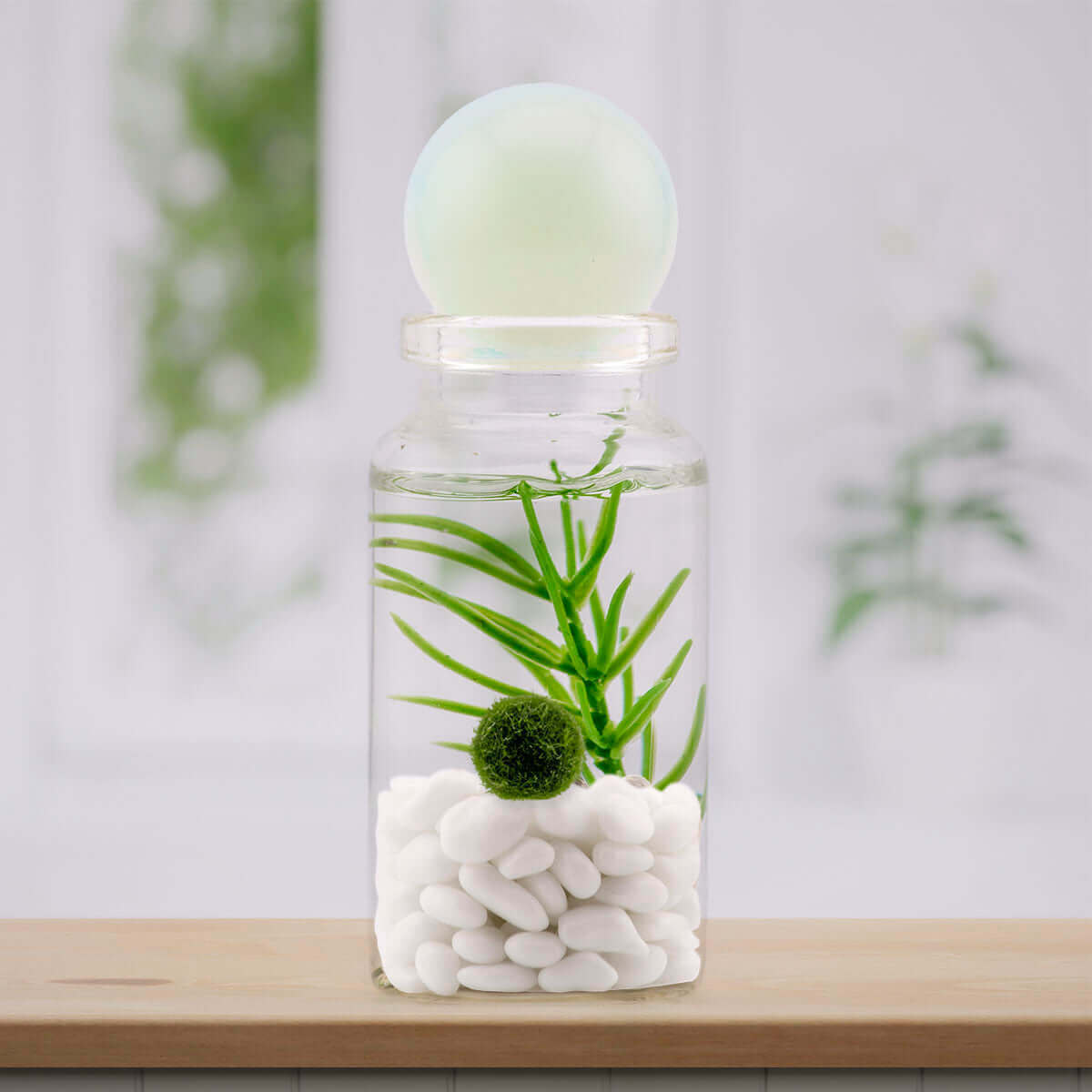 Opalite sphere on moss ball terrarium, shimmering with an opalescent glow.