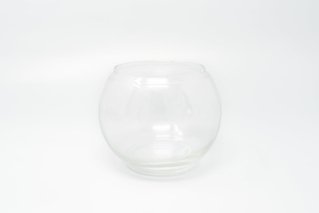 Complete Bubble Trio Terrariums with Tillandsia Juncea, Butzii, and Harrisii Air Plants