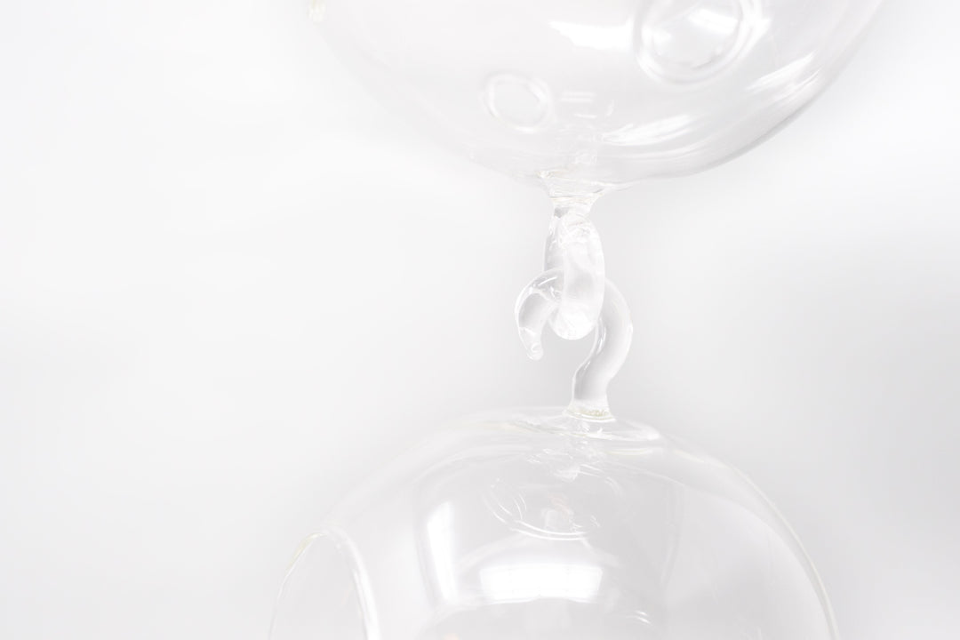 Terrarium Trio with Double Hooks and Tillandsia Juncea, Bulbosa, & Ionantha Air Plants