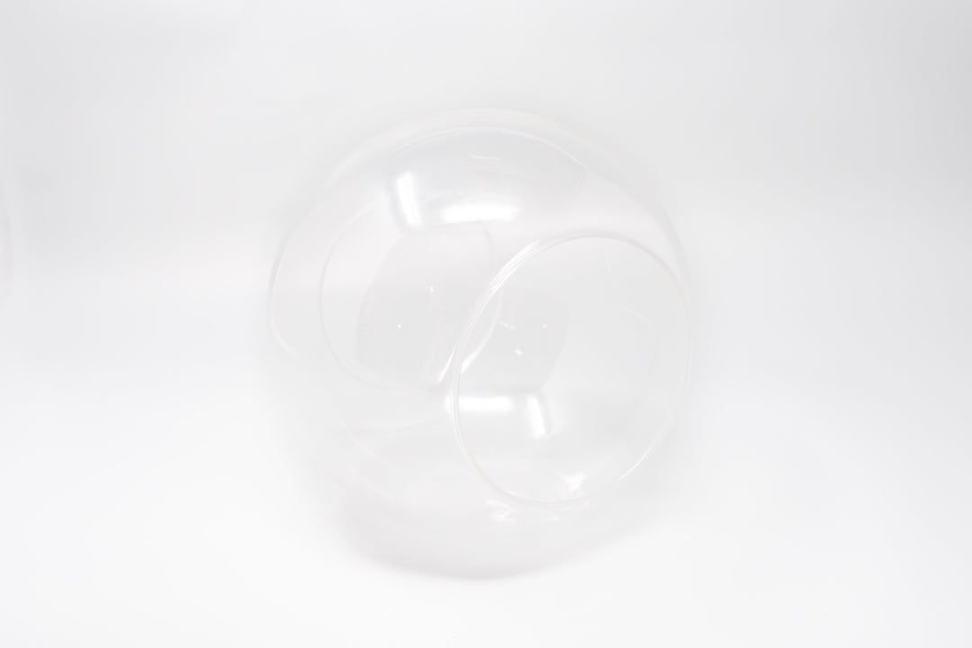 Large Hand-Blown Glass Terrarium with 2 Open Ends