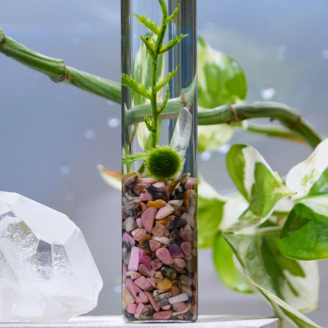 The Angie Hope & Healing Terrarium