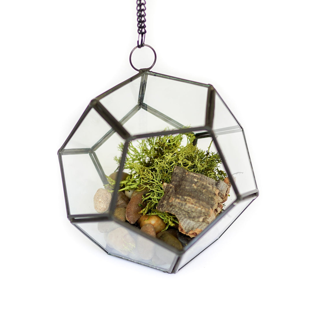 DIY Glass Pentagon Terrarium