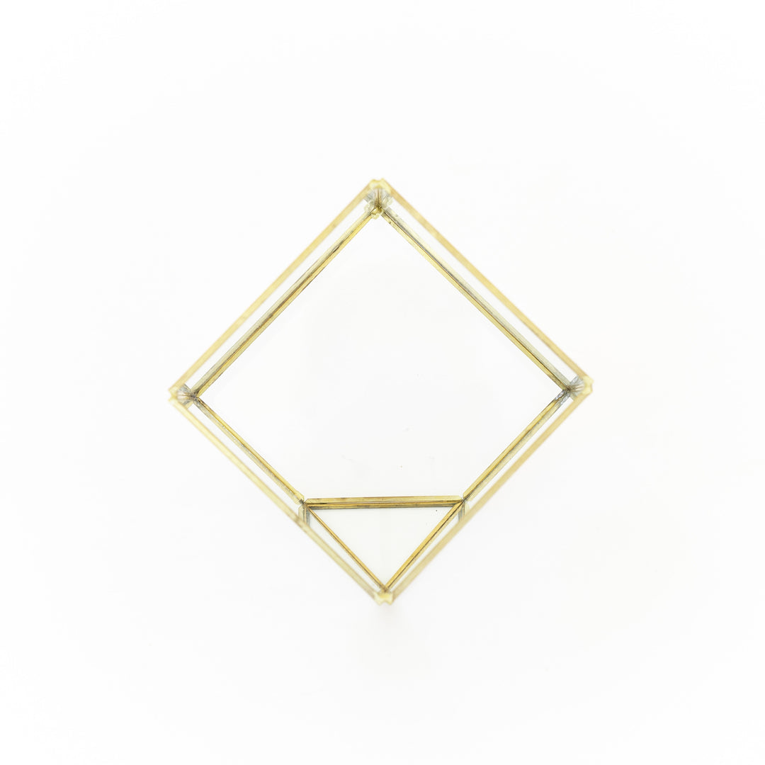 Heptahedron Geometric Glass Terrarium - Gold Metallic Finish - Trendy Holder For Tillandsia Air Plants