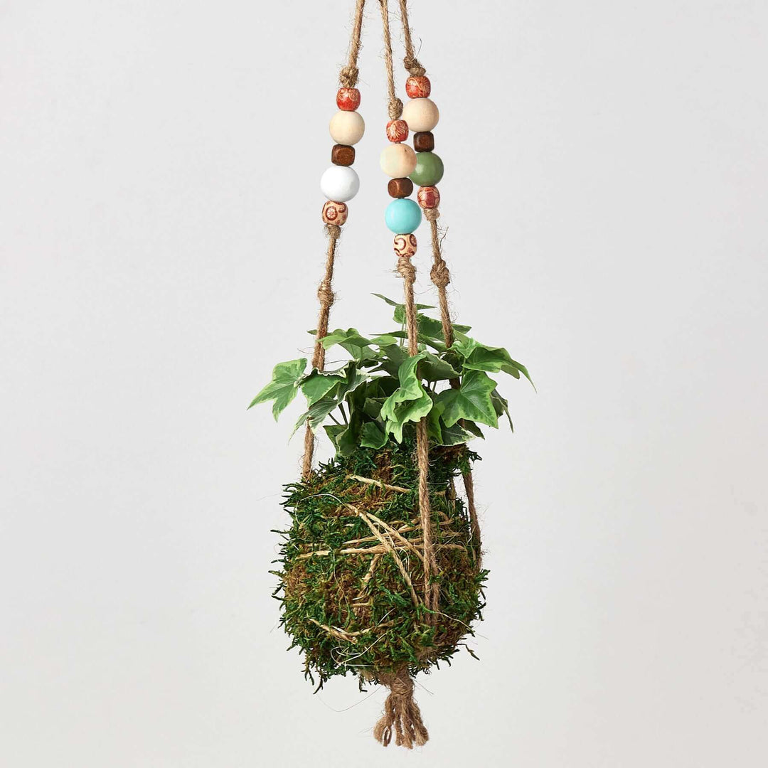 hanging planter moss Bead Kokedama Moss Ball Hanging Plant Size Brasil
