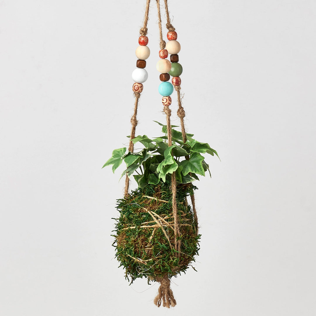 Kokedama Moss Ball Hanging Plant with Beads