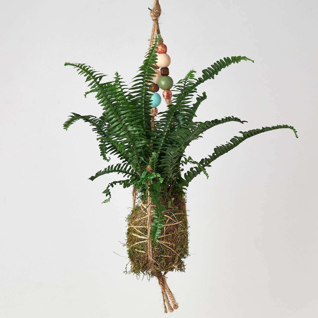 japanese hanging plant balls Kokedama Moss Ball Hanging Plant with Beads