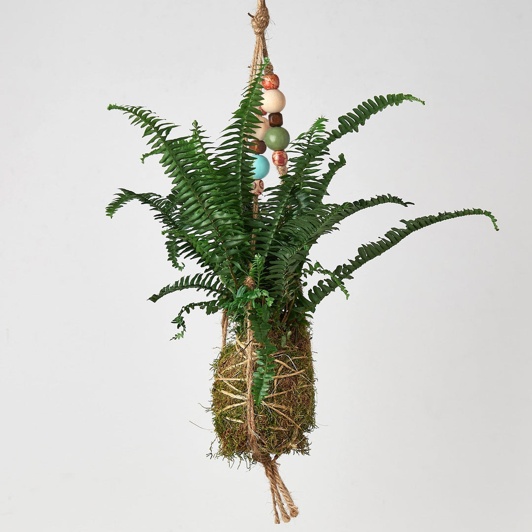 Kokedama Moss Ball Hanging Plant with Beads
