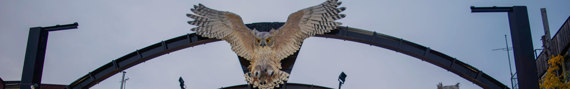 The iconic illuminated owl gate marking the entrance to Akanko Onsen Village in Hokkaido, Japan. The three owls, including a central Blakiston's fish owl in flight, represent kotan kor kamuy — the guardian deity of the Ainu people and protector of the village. This culturally significant symbol reflects the deep spiritual connection between the Ainu and nature.