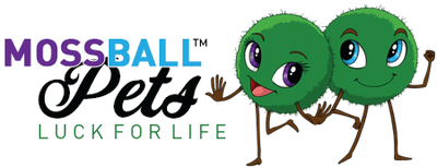 The legend of your Moss Ball Pet – Moss Ball Pets™