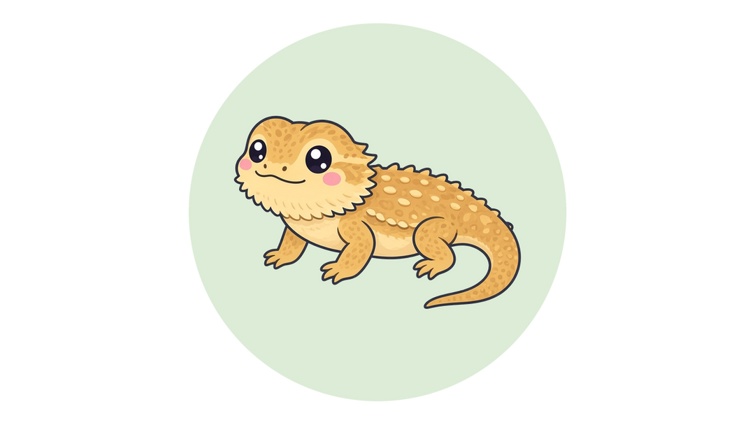 Cartoon illustration of a bearded dragon, a popular class pet