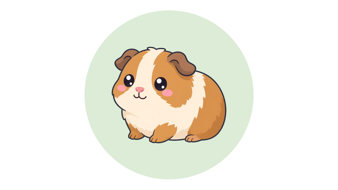 Cartoon illustration of a guinea pig, a popular class pet