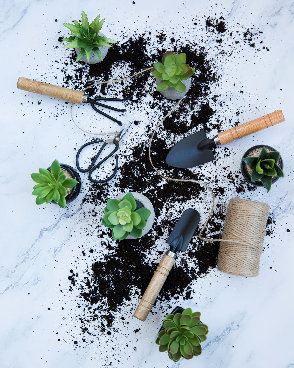 DIY terrarium materials including gardening tools, potting soil, and succulent plants