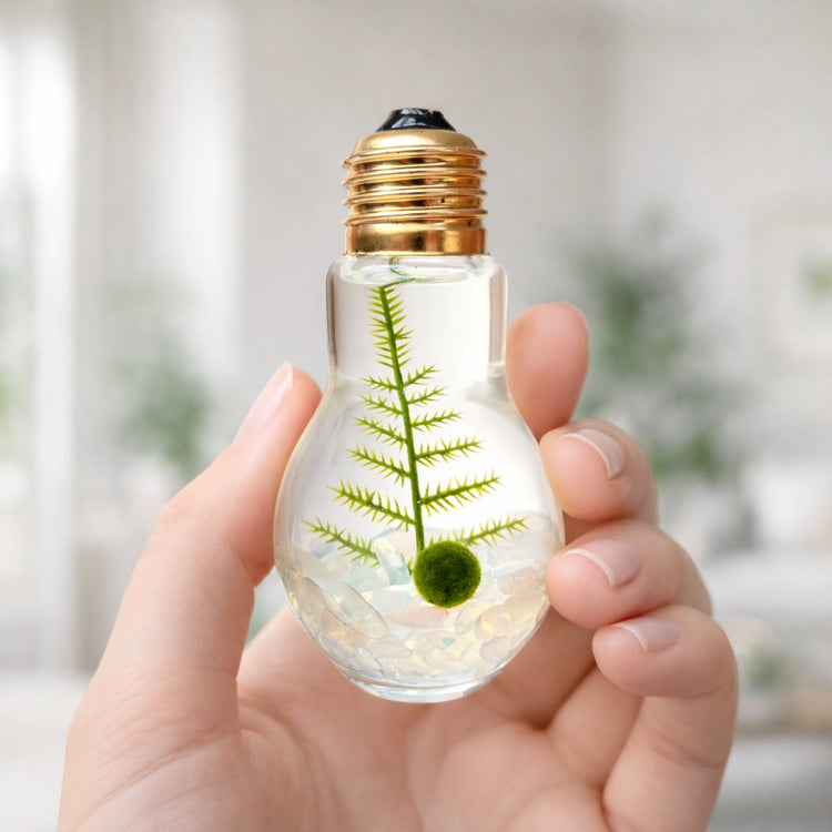Small moss ball pet light bulb terrarium held in hand showing scale, live moss ball plant gift and unique desk decor