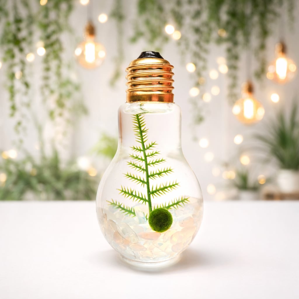 light bulb hanging planter Light Bulb Terrarium with Nano Marimo Moss Ball Pet