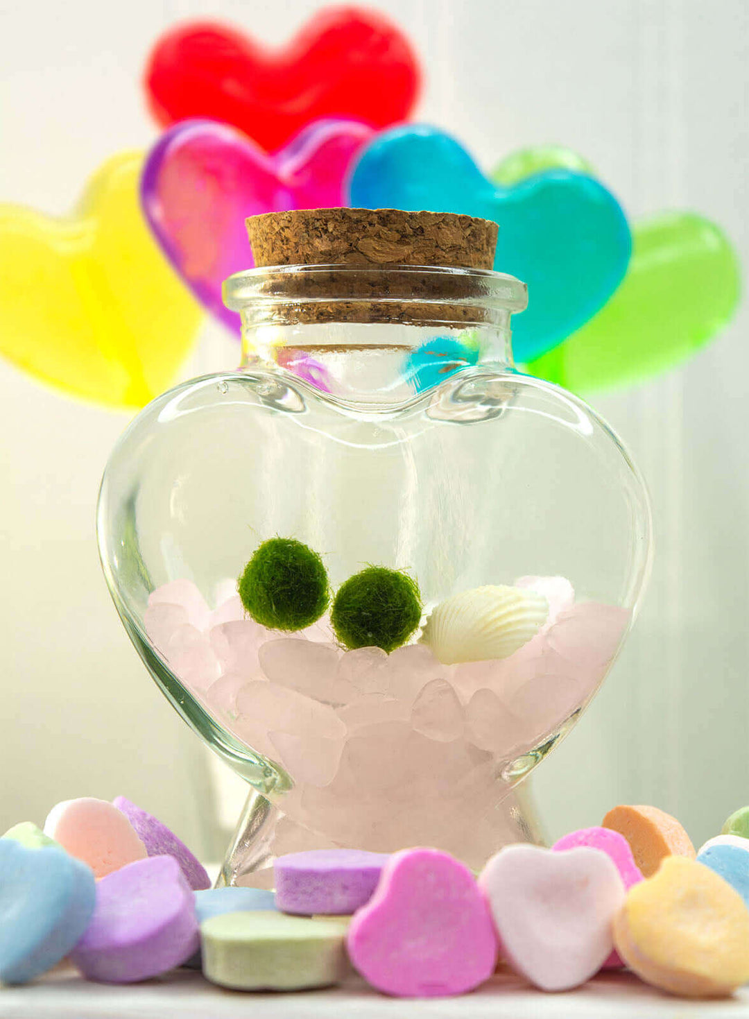 Heart-shaped glass bottle terrarium with two Nano Marimo Moss Ball Pets atop rose quartz pebbles, with a decorative shell, colorful background, and candy hearts in the foreground.
