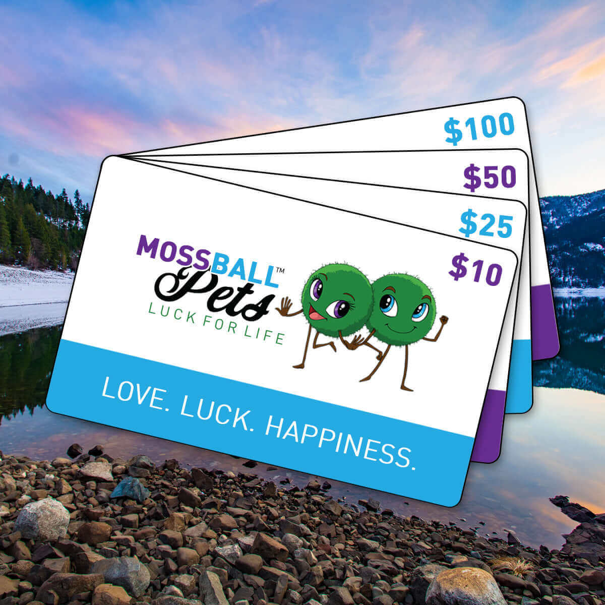 Moss Ball Pets: Buy Premium Marimo & Elevate Your Space! - Moss Ball Pets™