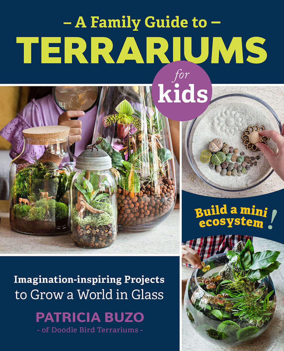 A Family Guide to Terrariums for Kids Book