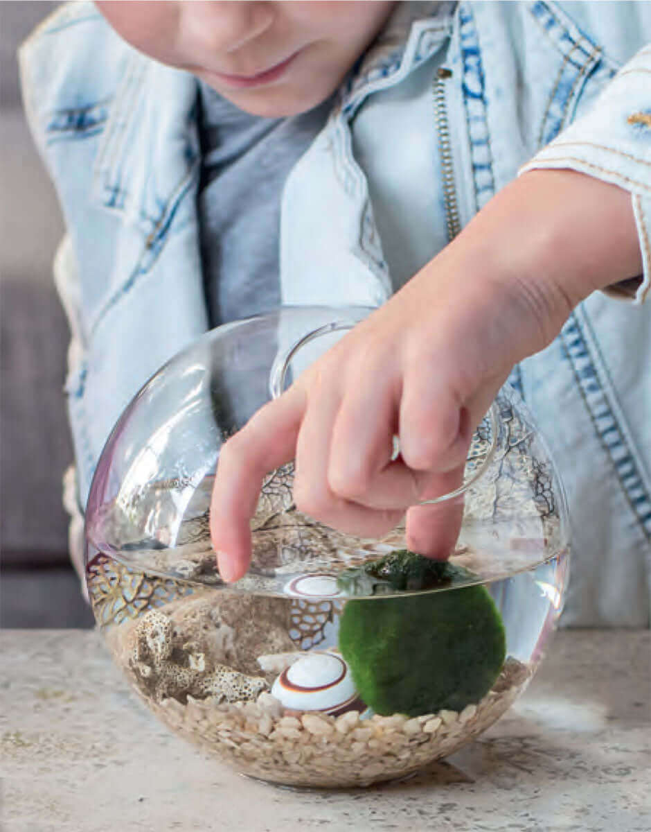 A Family Guide to Terrariums for Kids Book